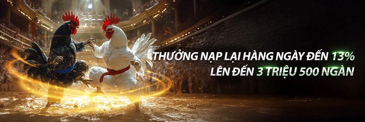 Toàn cảnh trường gà trực tuyến nw88 code